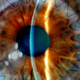 Illustration for article titled How Neurosurgeons Can Now Look at Your Brain Through Your Eyes